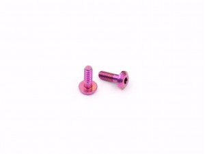 Destiny - M3x9mm Ti Motor Screw, Purple Color, 2 pcs, Pancar (D50014)