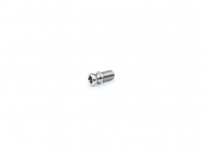 Roche - Rapide P12V3 Center Pivot Ball, Titanium (250365)