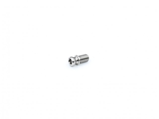 Roche - Rapide P12V3 Center Pivot Ball, Titanium (250365)